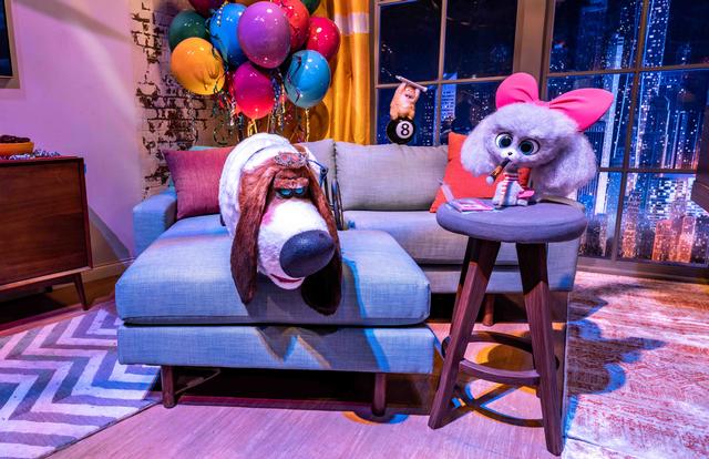 The Secret Life of Pets: Off the Leash! photo, from ThemeParkInsider.com